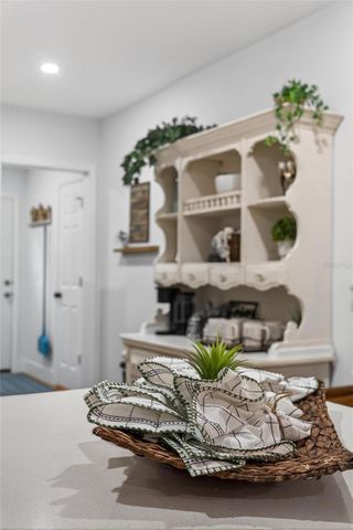 1503 GRANITE STATE COURT, Mount Dora, FL 32757