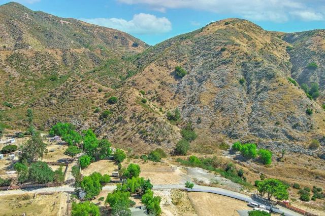13912 N Mesa Alta, Kagel Canyon, CA 91342