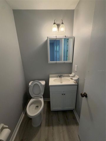 317 S LAKEVIEW AVENUE, Winter Garden, FL 34787