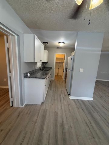 317 S LAKEVIEW AVENUE, Winter Garden, FL 34787