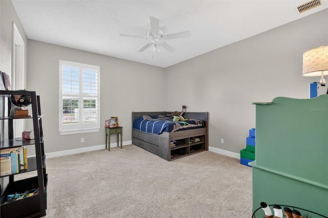 4507 CLAIRE ROSE COURT, Mount Dora, FL 32757