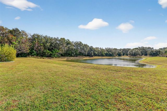 4507 CLAIRE ROSE COURT, Mount Dora, FL 32757