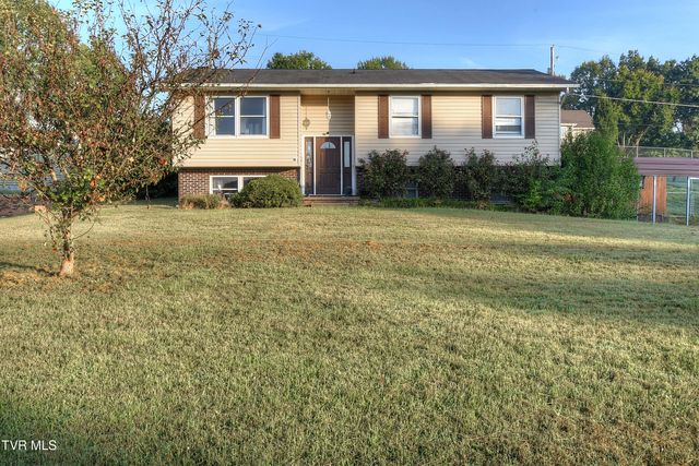 466 Old Hickory Circle, Mount Carmel, TN 37645
