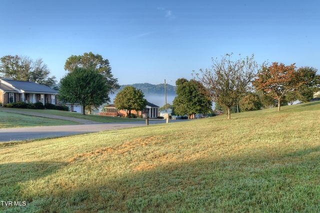 466 Old Hickory Circle, Mount Carmel, TN 37645
