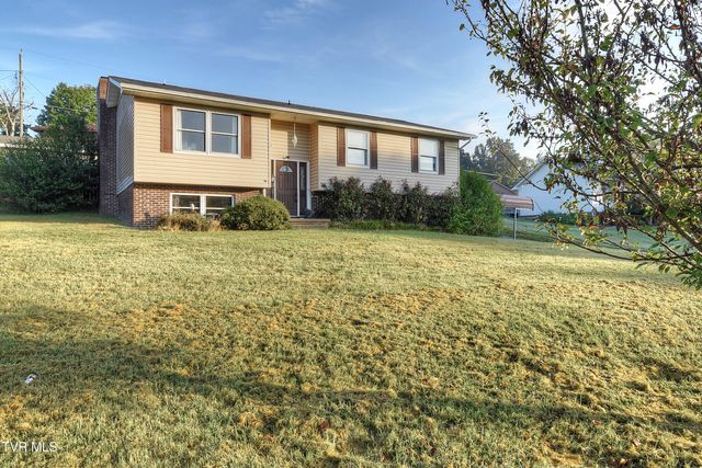 466 Old Hickory Circle, Mount Carmel, TN 37645