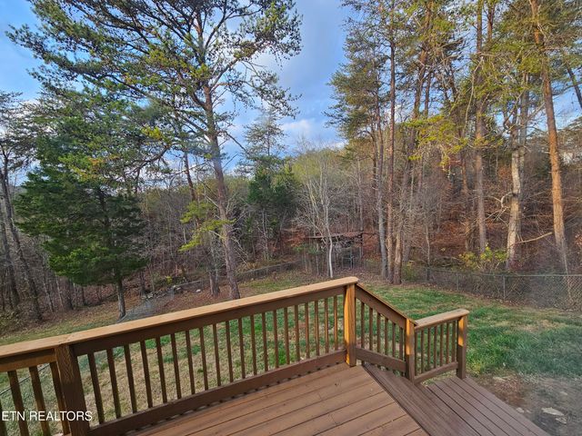 119 Banks Tr, Kodak, TN 37764