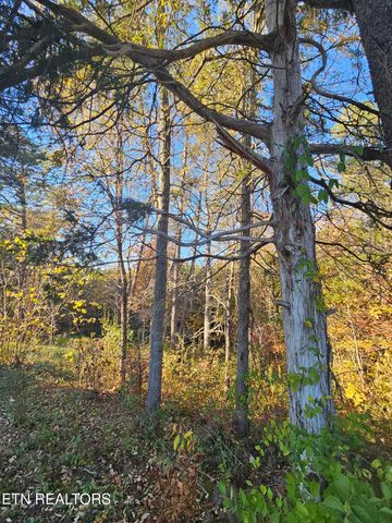 119 Banks Tr, Kodak, TN 37764