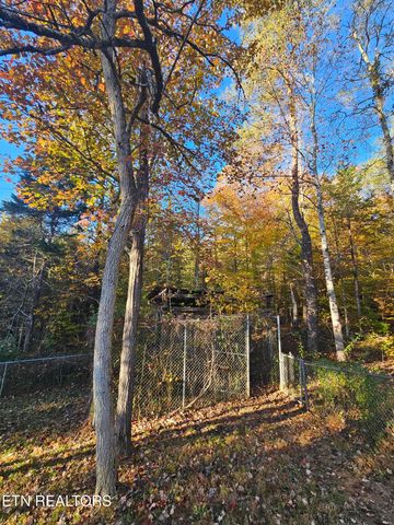 119 Banks Tr, Kodak, TN 37764