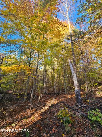 119 Banks Tr, Kodak, TN 37764