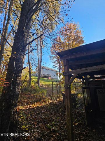 119 Banks Tr, Kodak, TN 37764