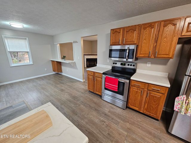 119 Banks Tr, Kodak, TN 37764