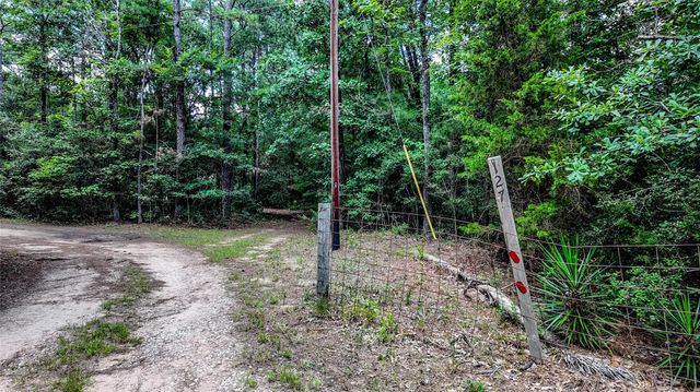127 Buckthorn Acres Drive, Huntsville, TX 77340