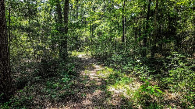 127 Buckthorn Acres Drive, Huntsville, TX 77340