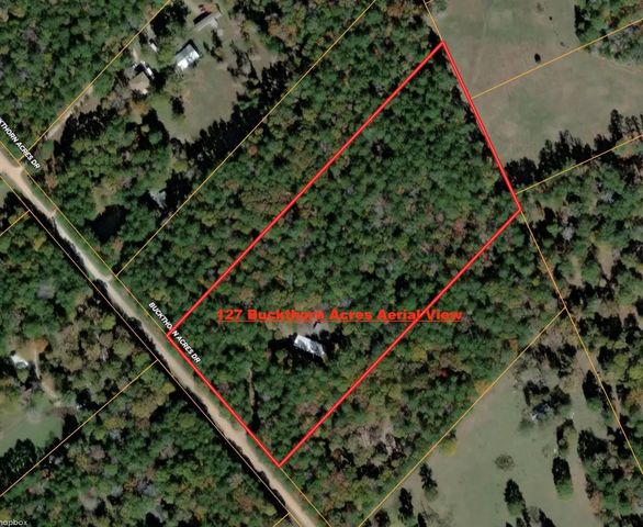 127 Buckthorn Acres Drive, Huntsville, TX 77340