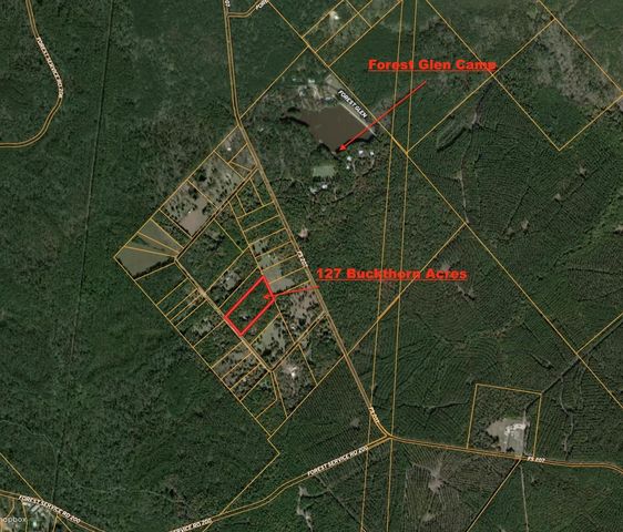 127 Buckthorn Acres Drive, Huntsville, TX 77340