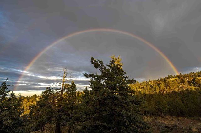 1596 NW Wild Rye Circle, Bend, OR 97703