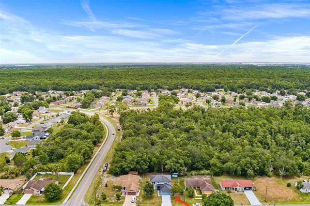 803 MOUNTBATTEN LANE, Kissimmee, FL 34758