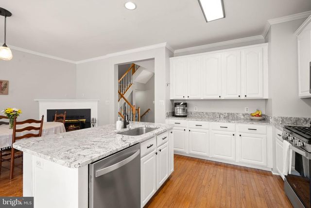 21078 ROAMING SHORES TER, Ashburn, VA 20147
