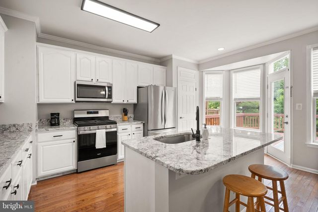 21078 ROAMING SHORES TER, Ashburn, VA 20147