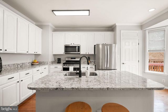 21078 ROAMING SHORES TER, Ashburn, VA 20147