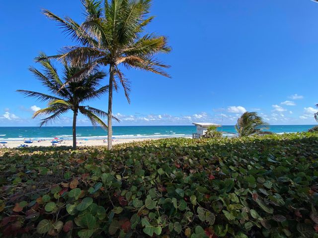 2191 NE 1st Court 202, Boynton Beach, FL 33435