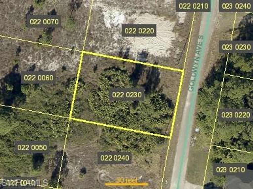 722 Goldwyn AVE S, LEHIGH ACRES, FL 33974 — exterior