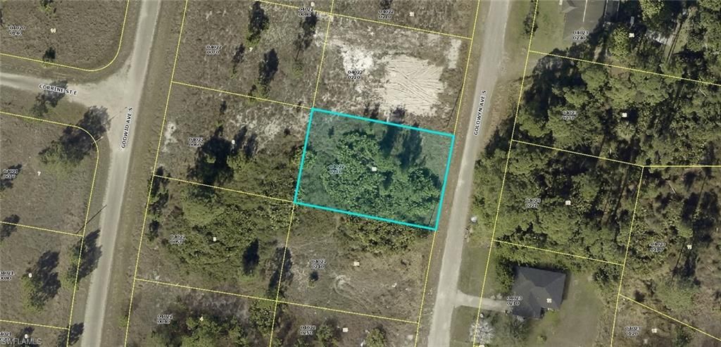 722 Goldwyn AVE S, LEHIGH ACRES, FL 33974 — photo 4
