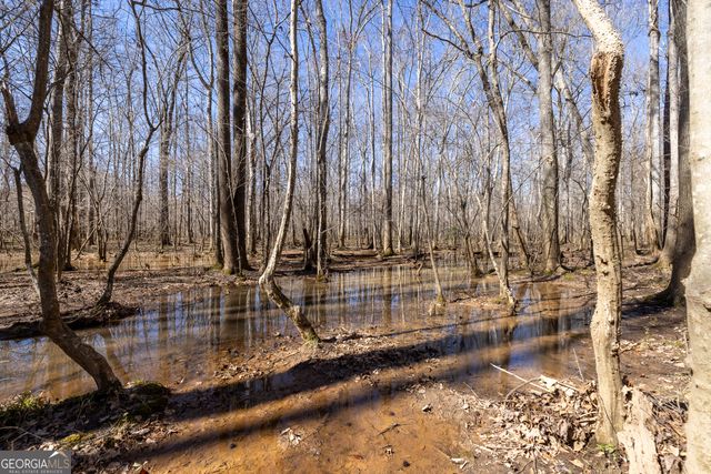 2051 Fontainbleau Drive, Conyers, GA 30094