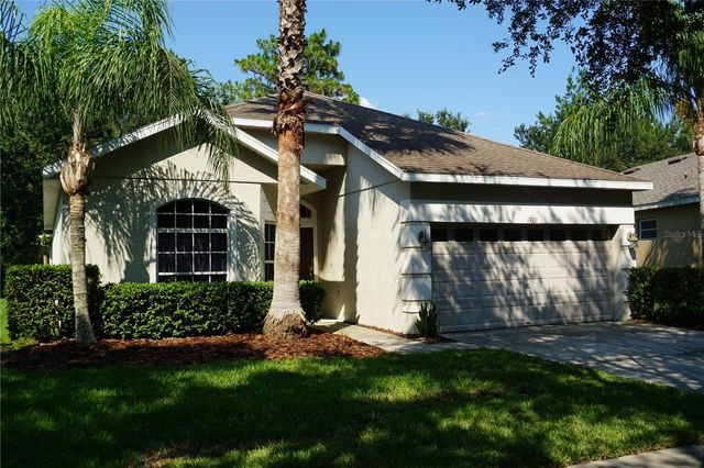 19131 CYPRESS REACH LANE, Tampa, FL 33647