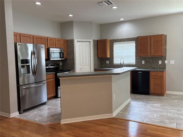 19131 CYPRESS REACH LANE, Tampa, FL 33647