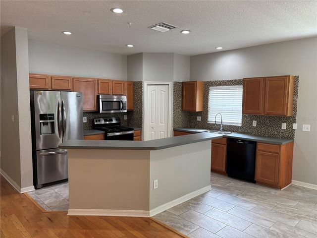 19131 CYPRESS REACH LANE, Tampa, FL 33647