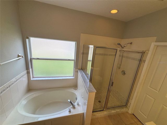 19131 CYPRESS REACH LANE, Tampa, FL 33647