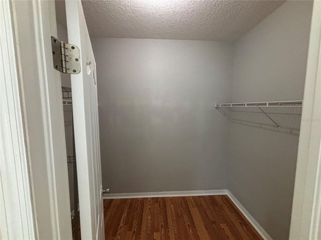 19131 CYPRESS REACH LANE, Tampa, FL 33647