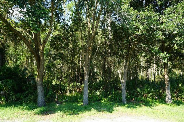 19131 CYPRESS REACH LANE, Tampa, FL 33647