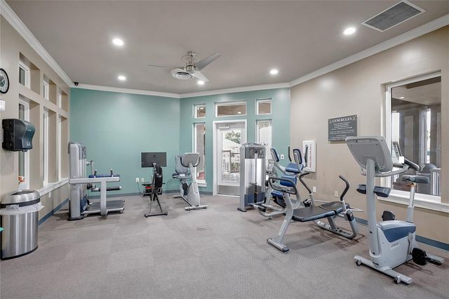 19131 CYPRESS REACH LANE, Tampa, FL 33647