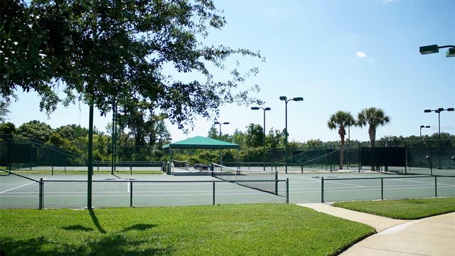 19131 CYPRESS REACH LANE, Tampa, FL 33647