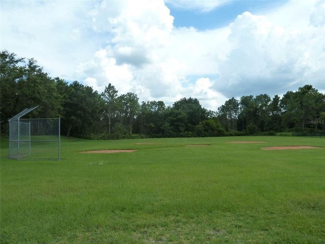 19131 CYPRESS REACH LANE, Tampa, FL 33647