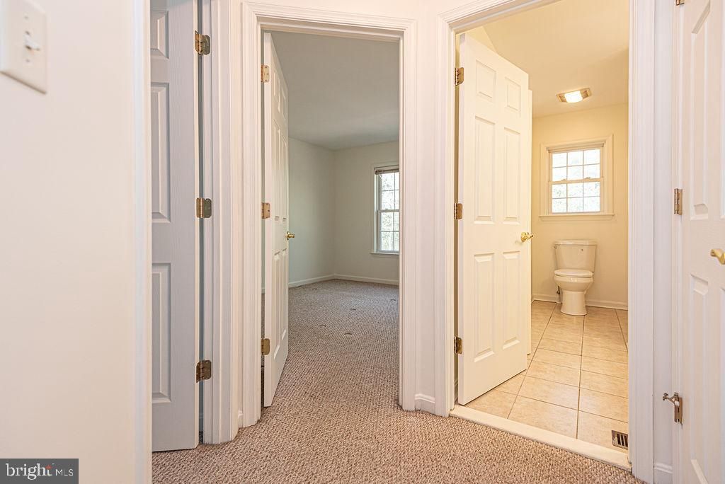 Image 49 of property listing at 10625 BUNTING RD, Bishopville, MD 21813