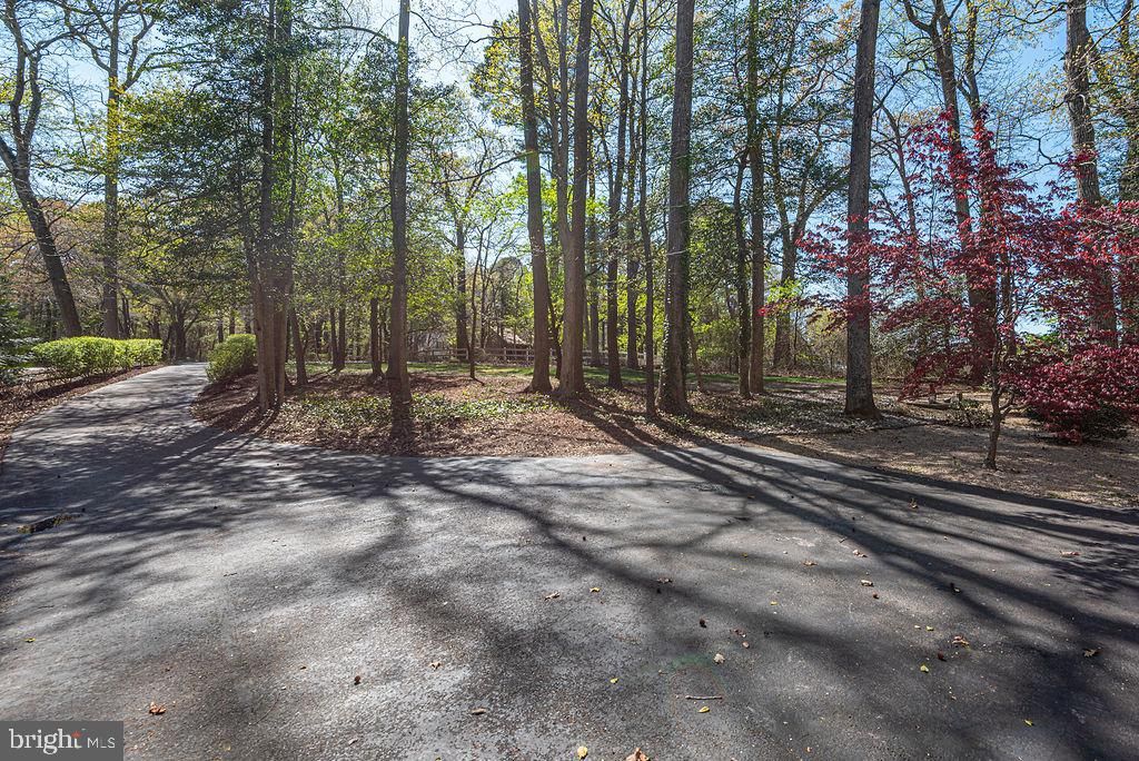 Image 65 of property listing at 10625 BUNTING RD, Bishopville, MD 21813