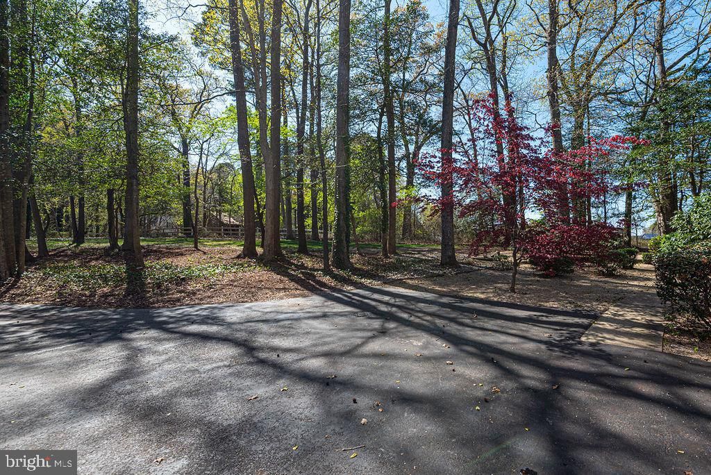 Image 69 of property listing at 10625 BUNTING RD, Bishopville, MD 21813
