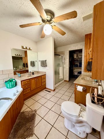 234 N Dade 133, Greenfield, MO 65661