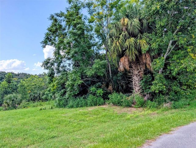 GREEN BRIAR DRIVE, Lady Lake, FL 32159