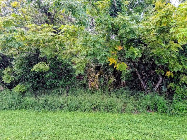 GREEN BRIAR DRIVE, Lady Lake, FL 32159