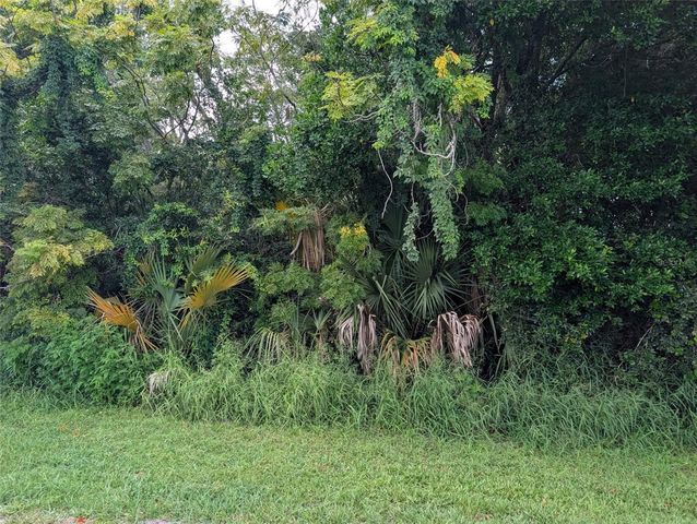 GREEN BRIAR DRIVE, Lady Lake, FL 32159