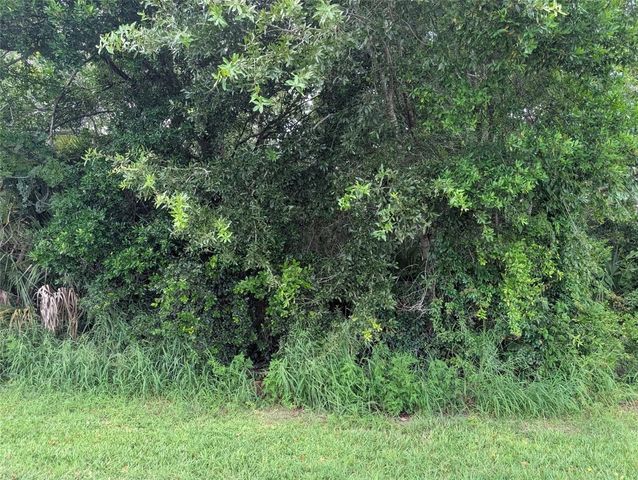 GREEN BRIAR DRIVE, Lady Lake, FL 32159