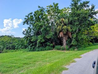 GREEN BRIAR DRIVE, Lady Lake, FL 32159