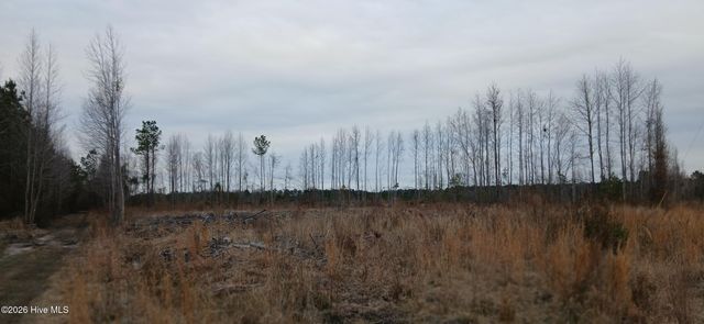 D08-79 Goose Creek Road, Bayboro, NC 28515