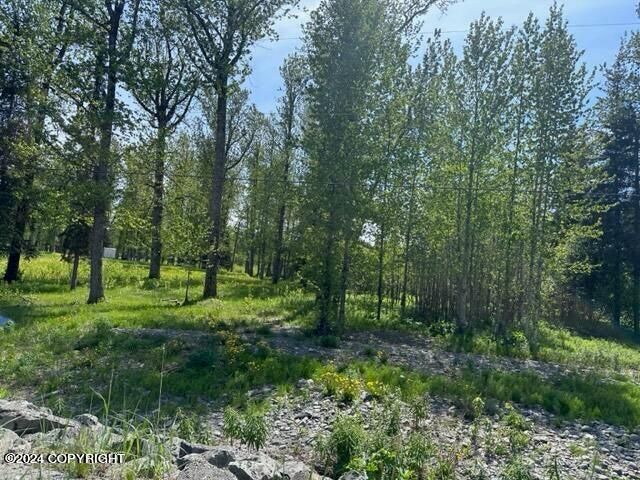 35885 & 35825 Sterling Highway, Anchor Point, AK 99556