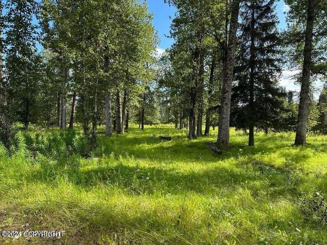 35885 & 35825 Sterling Highway, Anchor Point, AK 99556