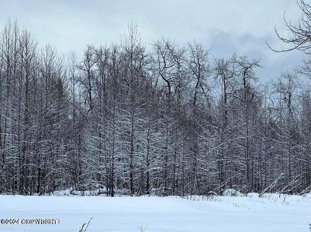 35885 & 35825 Sterling Highway, Anchor Point, AK 99556